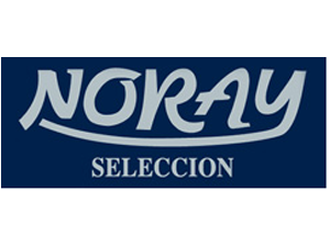 logo NORAY2